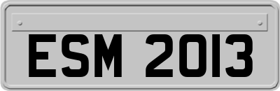ESM2013