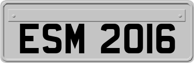 ESM2016