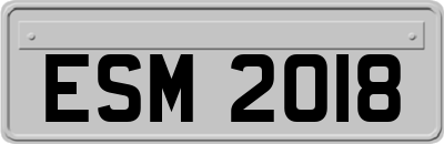 ESM2018