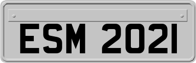 ESM2021