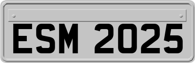 ESM2025