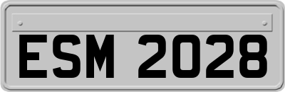 ESM2028