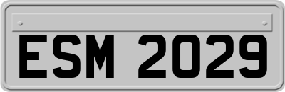 ESM2029