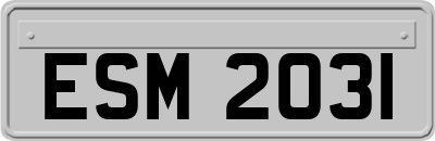 ESM2031