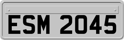 ESM2045
