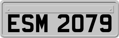 ESM2079