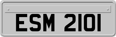 ESM2101