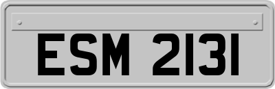 ESM2131