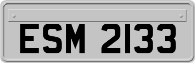 ESM2133