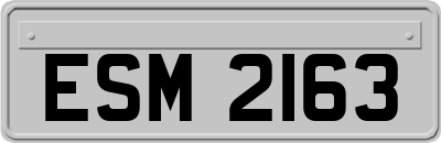 ESM2163