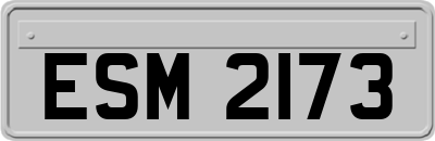 ESM2173