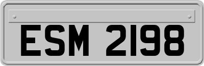 ESM2198