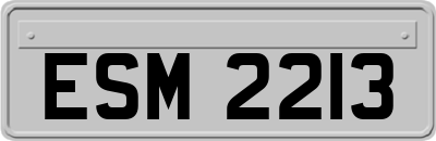 ESM2213