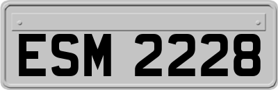 ESM2228