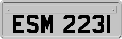 ESM2231