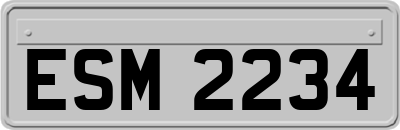 ESM2234