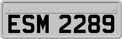 ESM2289