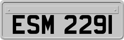 ESM2291