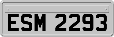 ESM2293