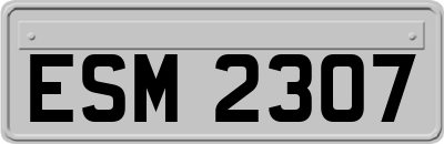 ESM2307