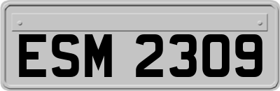 ESM2309