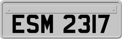 ESM2317