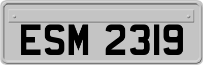 ESM2319