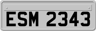 ESM2343