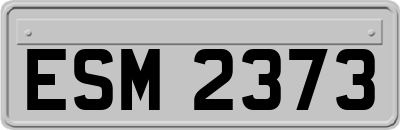 ESM2373