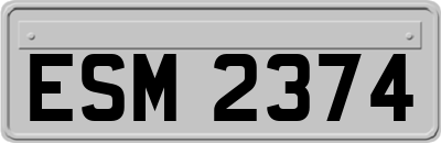 ESM2374