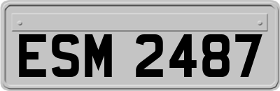ESM2487