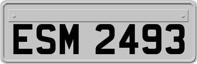 ESM2493