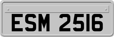 ESM2516