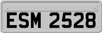 ESM2528