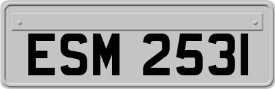 ESM2531