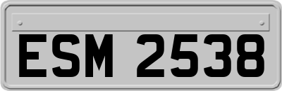 ESM2538