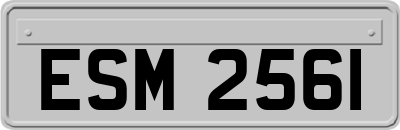 ESM2561