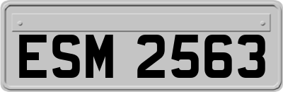 ESM2563