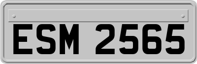 ESM2565