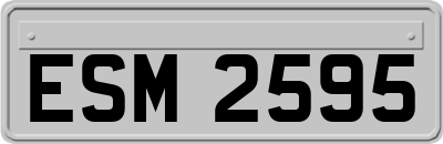 ESM2595