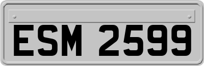 ESM2599