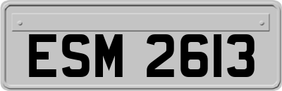 ESM2613