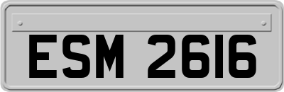 ESM2616