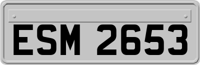 ESM2653