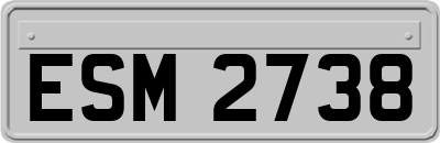 ESM2738