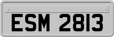 ESM2813