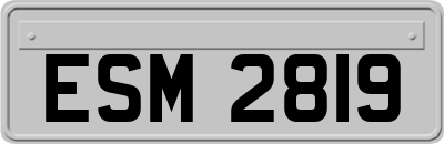 ESM2819