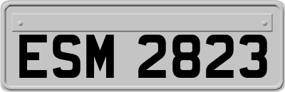ESM2823