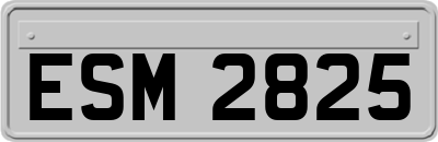 ESM2825