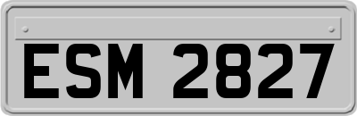 ESM2827